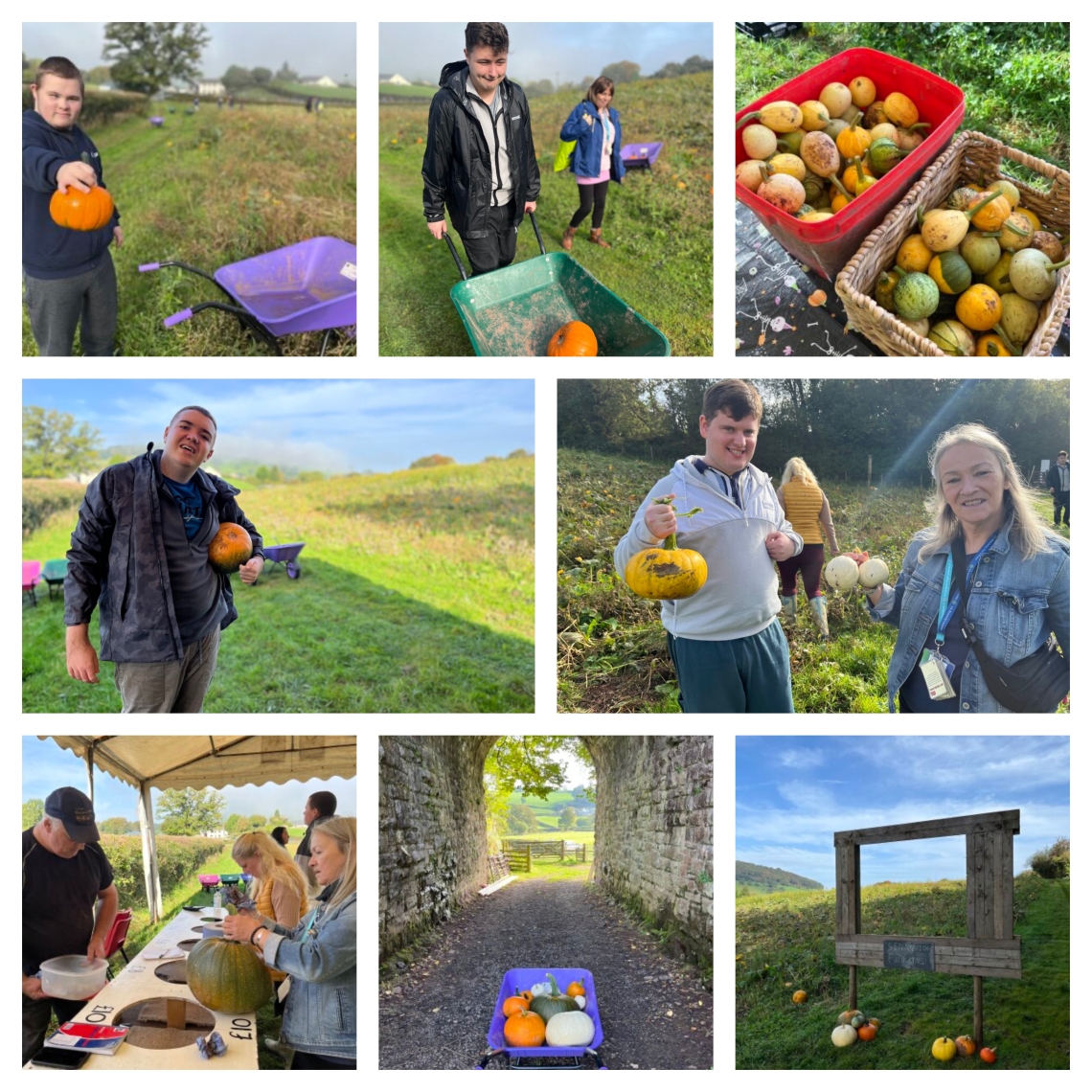Collage of learners collecting pumpkins